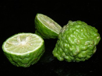 SWANGI PEEL OIL (Citrus hystrix DC)