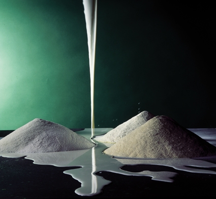 SKIM MILK POWDER (cow)