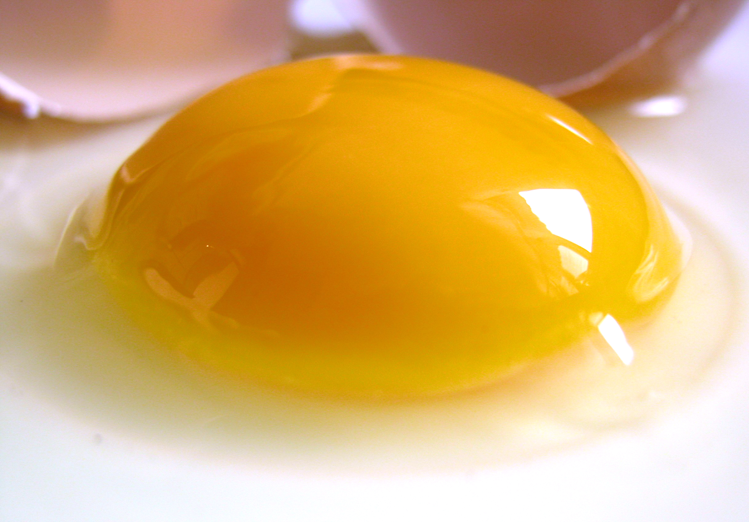 CHICKEN EGG YOLK (raw)