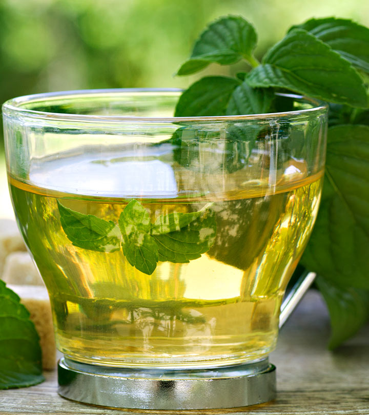 PEPPERMINT TEA (Mentha x piperita)