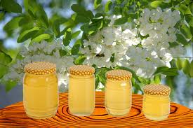 ACACIA HONEY (several species)