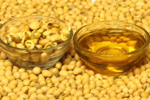 SOYA-BEAN OIL