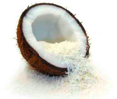 COCONUT MEAT