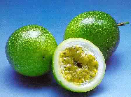 PASSION FRUIT (yellow) (P.F. FLAVICARPA) 