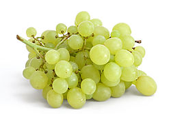 GRAPE (Vitis species)