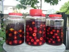 PRUNUS MUME SIEB. et ZUCC. (salted and pickled)